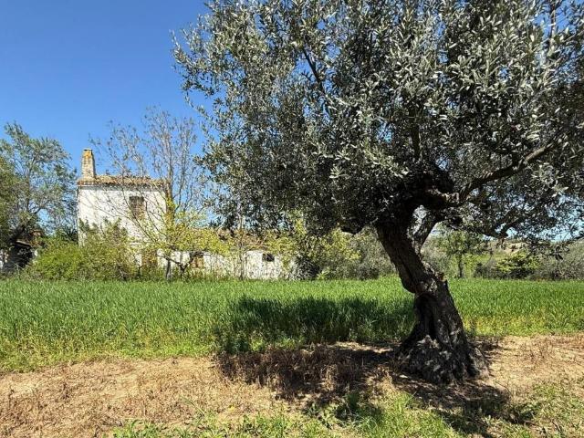 Rustico / Casale in vendita a Città Sant'Angelo PE