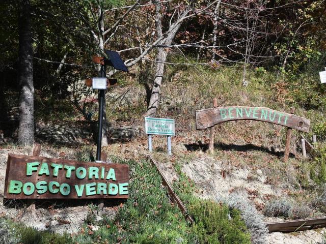 Rustico / Casale in vendita a Civitella di Romagna FC