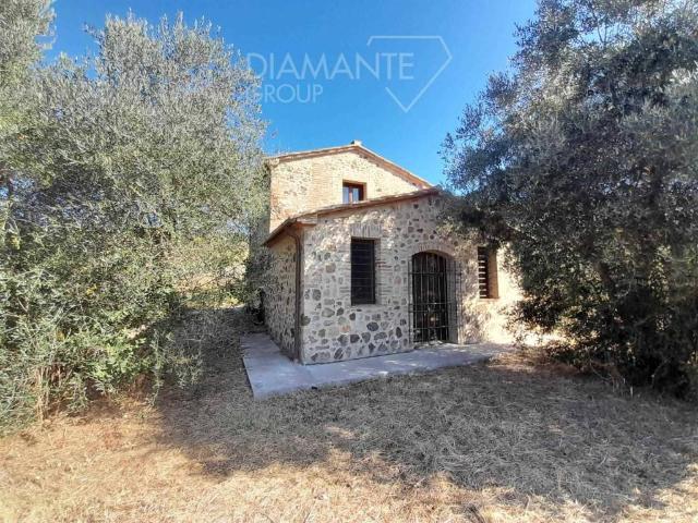 Rustico / Casale in vendita a Civitella Paganico GR