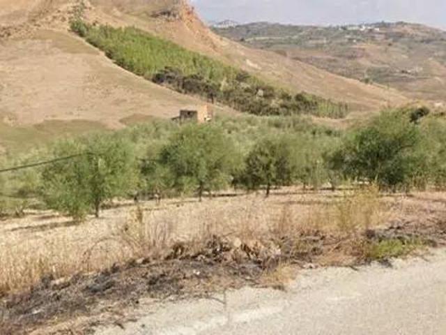 Rustico / Casale in vendita a Cianciana AG
