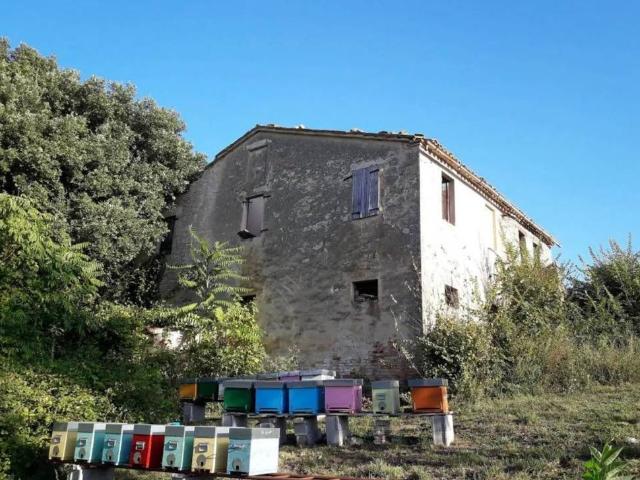 Rustico / Casale in vendita a Cingoli MC