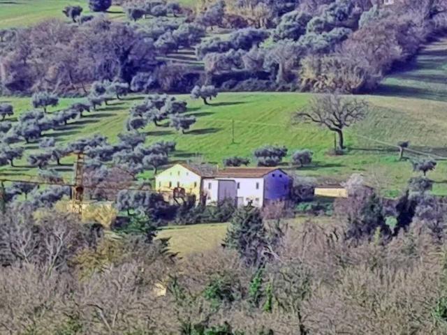 Rustico / Casale in vendita a Cingoli MC