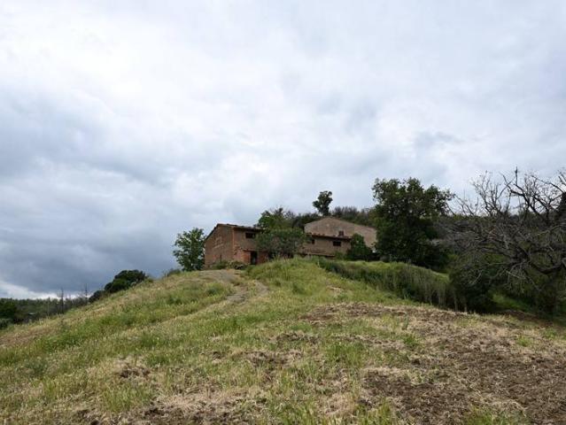 Rustico / Casale in vendita a Cinigiano GR