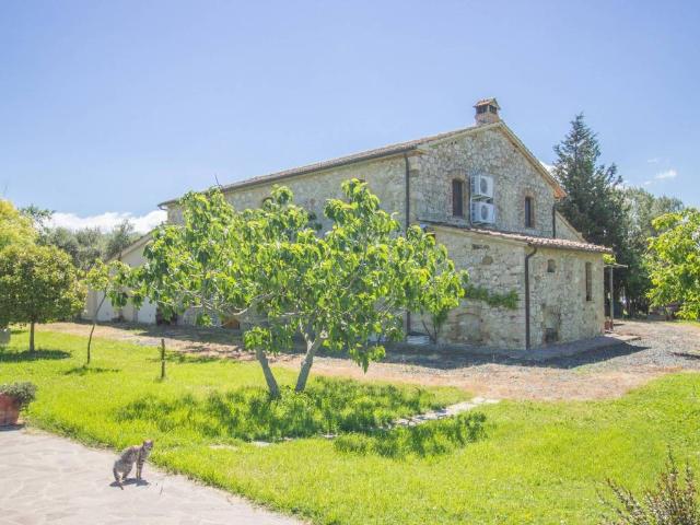 Rustico / Casale in vendita a Cinigiano GR