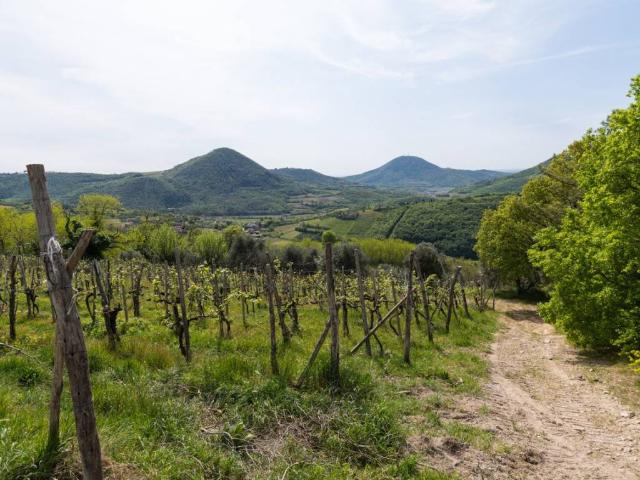 Rustico / Casale in vendita a Cinto Euganeo PD