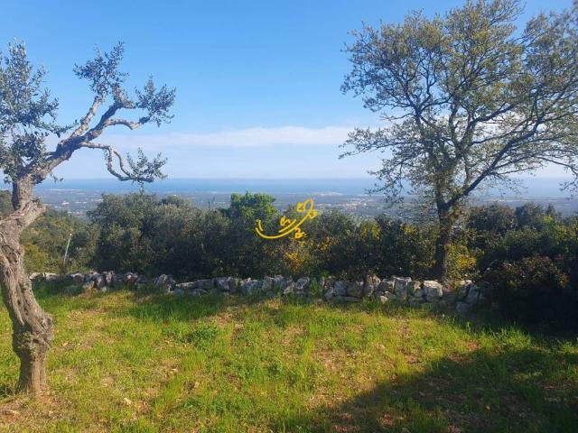 Rustico / Casale in vendita a Cisternino BR