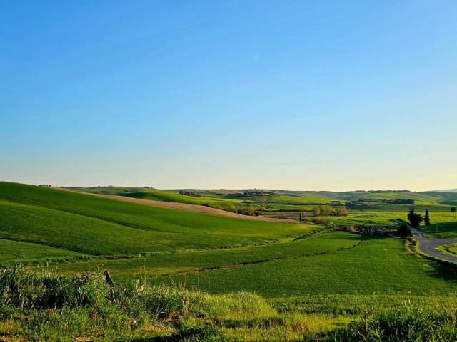 Rustico / Casale in vendita a Crespina e Lorenzana PI