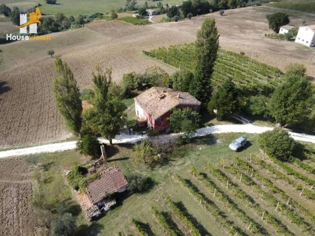 Rustico / Casale in vendita a Cupramontana AN
