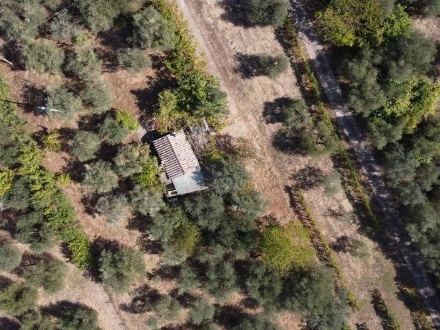 Rustico / Casale in vendita a Amelia TR