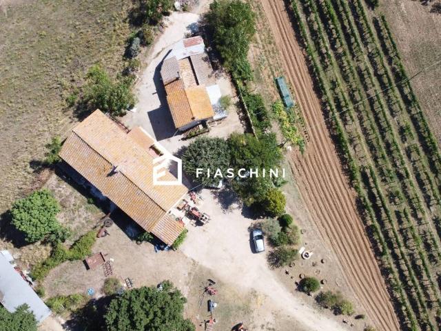 Rustico / Casale in vendita a Amelia TR