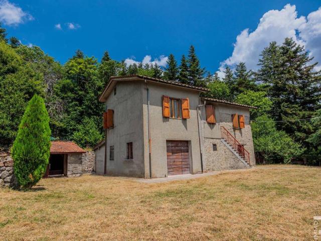 Rustico / Casale in vendita a Abbadia San Salvatore SI