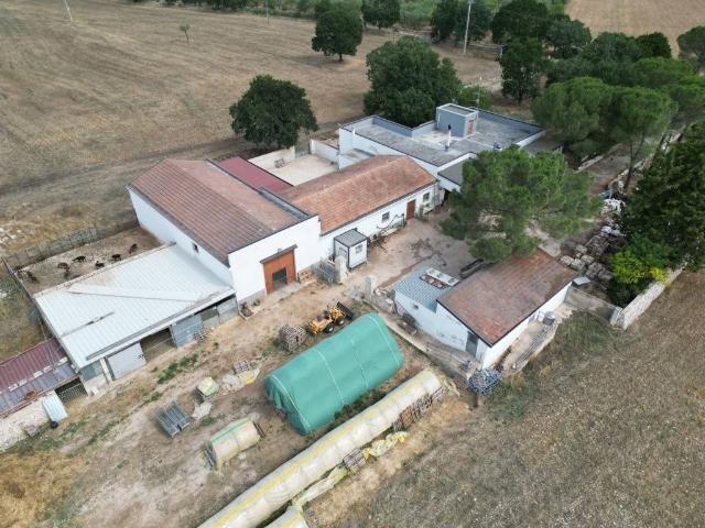 Rustico / Casale in vendita a Acquaviva delle Fonti BA