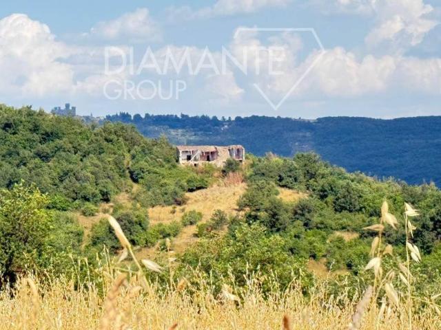 Rustico / Casale in vendita a Acquapendente VT