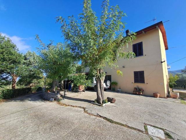 Rustico / Casale in vendita a Alviano TR