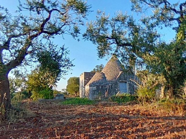 Rustico / Casale in vendita a Alberobello BA