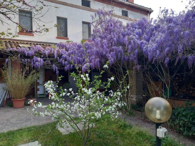 Rustico / Casale in vendita a Alessandria AL
