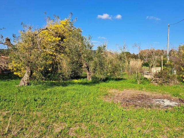 Rustico / Casale in vendita a Alghero SS
