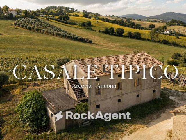 Rustico / Casale in vendita a Arcevia AN