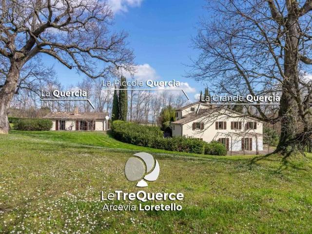 Rustico / Casale in vendita a Arcevia AN