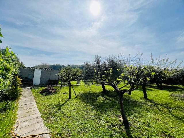 Rustico / Casale in vendita a Ardea RM