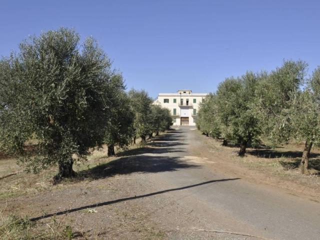 Rustico / Casale in vendita a Ardea RM