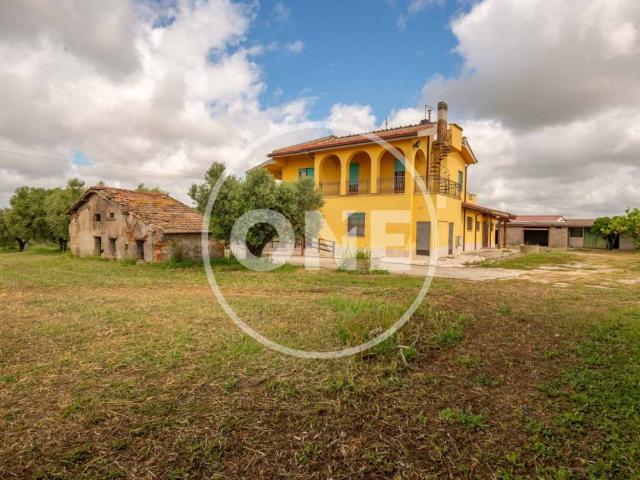 Rustico / Casale in vendita a Ardea RM