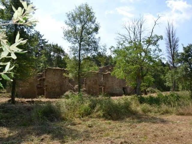 Rustico / Casale in vendita a Arezzo AR