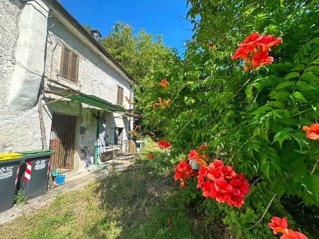 Rustico / Casale in vendita a Arrone TR