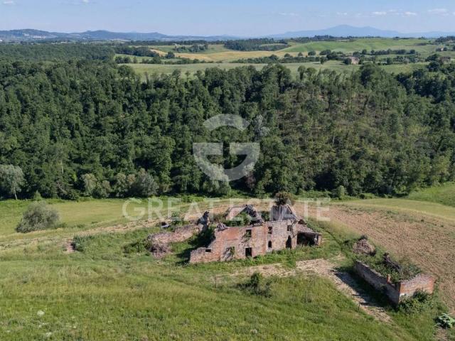 Rustico / Casale in vendita a Asciano SI