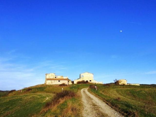 Rustico / Casale in vendita a Asciano SI