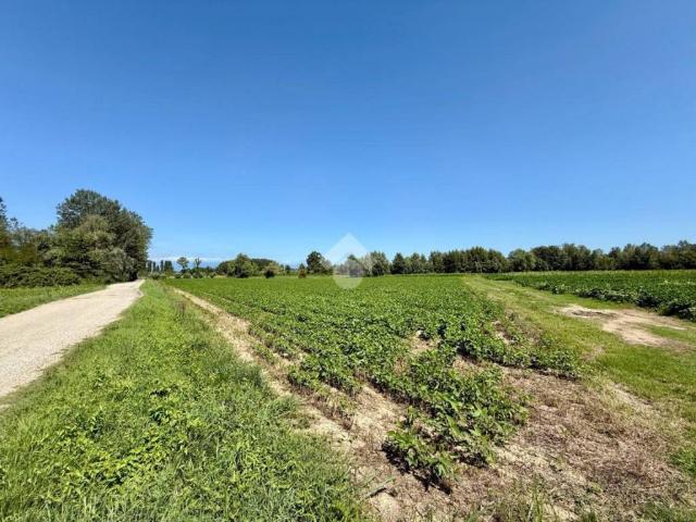 Rustico / Casale in vendita a Azzano Decimo PN
