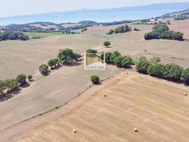 Rustico / Casale in vendita a Bolsena VT