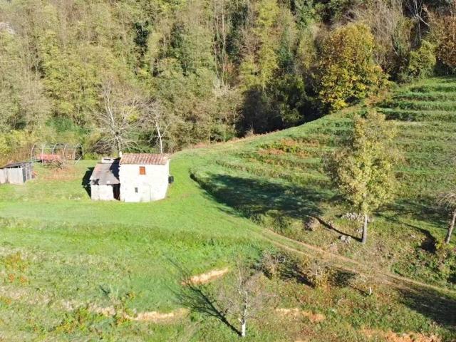 Rustico / Casale in vendita a Borgo a Mozzano LU