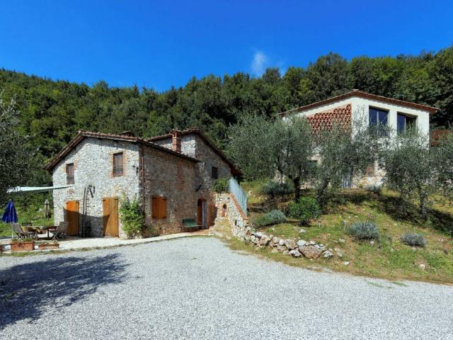 Rustico / Casale in vendita a Borgo a Mozzano LU