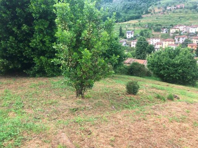 Rustico / Casale in vendita a Borgo a Mozzano LU