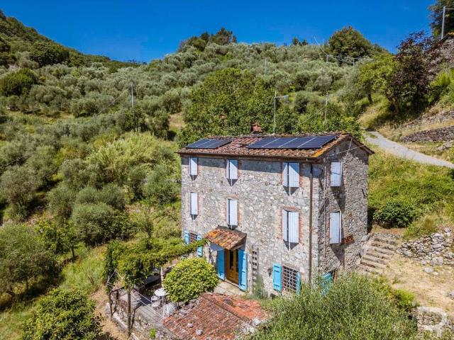 Rustico / Casale in vendita a Borgo a Mozzano LU