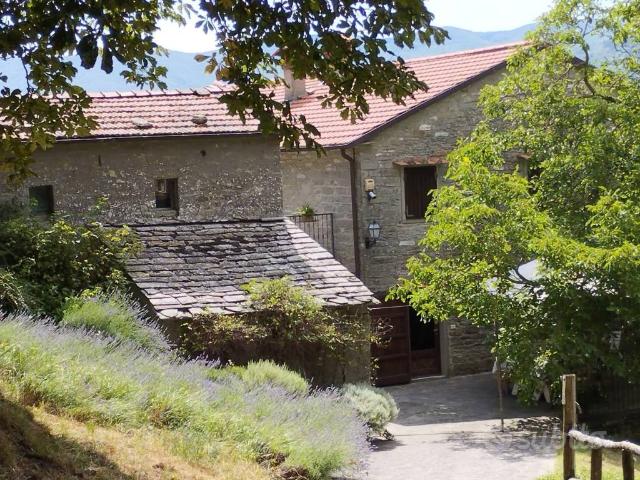 Rustico / Casale in vendita a Borgo San Lorenzo FI