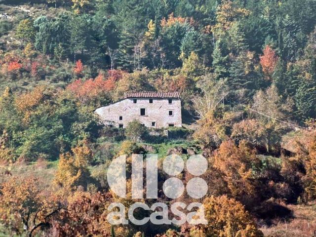 Rustico / Casale in vendita a Bagno di Romagna FC