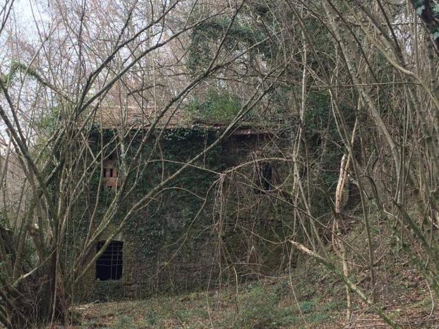 Rustico / Casale in vendita a Bagnone MS