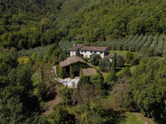 Rustico / Casale in vendita a Barberino di Mugello FI