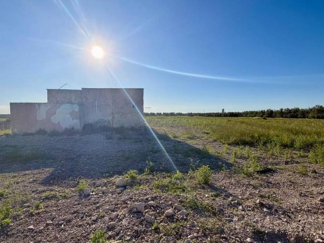 Rustico / Casale in vendita a Barletta BT