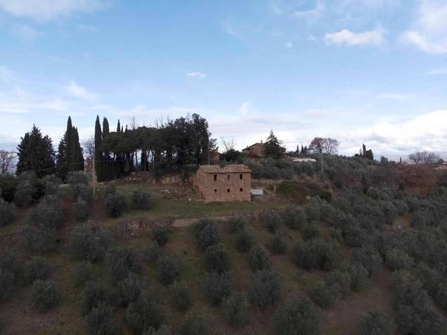 Rustico / Casale in vendita a Bettona PG