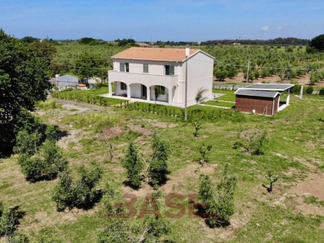 Rustico / Casale in vendita a Bibbona LI