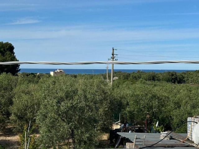 Rustico / Casale in vendita a Bisceglie BT