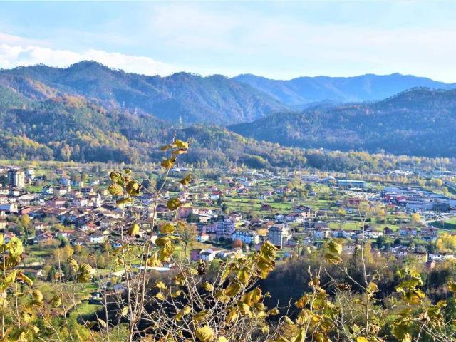 Rustico / Casale in vendita a Brugnato SP