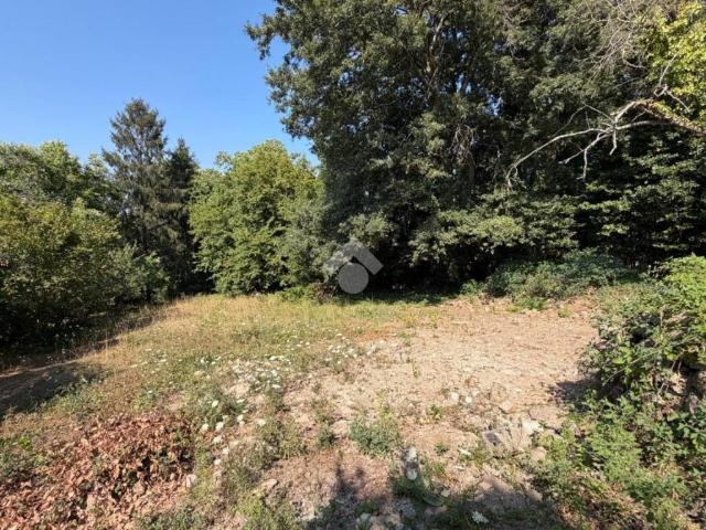 Rustico / Casale in vendita a Bracciano RM