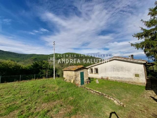 Rustico / Casale in vendita a Buti PI
