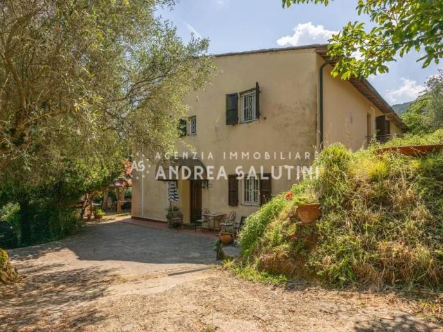 Rustico / Casale in vendita a Buti PI