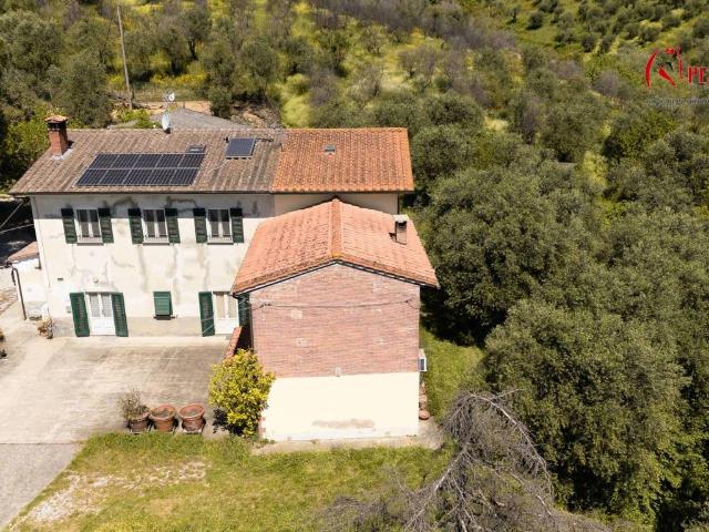 Rustico / Casale in vendita a Buggiano PT