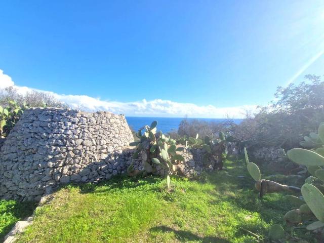 Rustico / Casale in vendita a Gagliano del Capo LE
